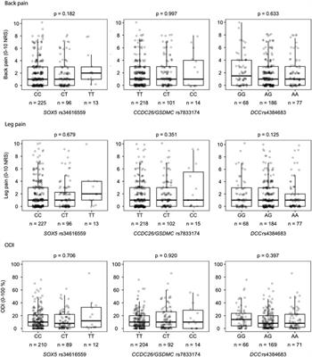 Low Back Pain With Persistent Radiculopathy; the Clinical Role of Genetic Variants in the Genes SOX5, CCDC26/GSDMC and DCC